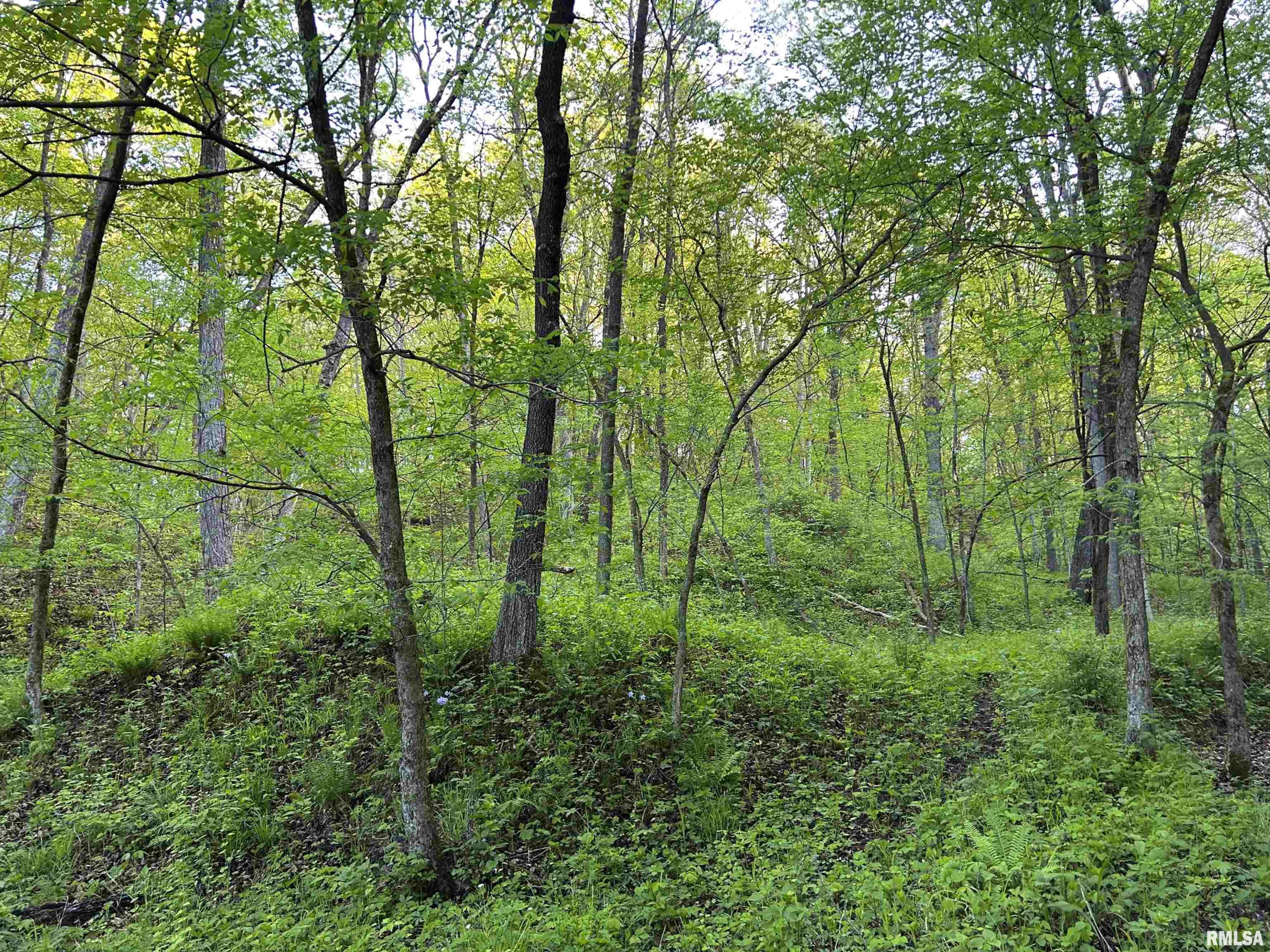 0 North Chambers Road Smithfield, IL 61477 - Photo 17 of 42