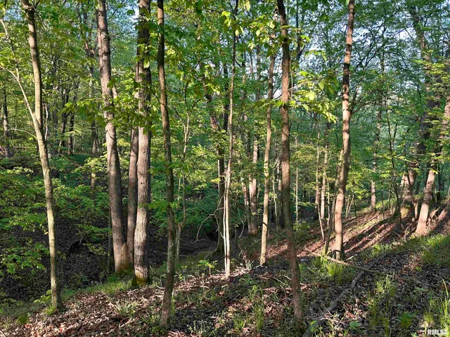 $460,000 | 0 North Chambers Road, Smithfield, IL 61477