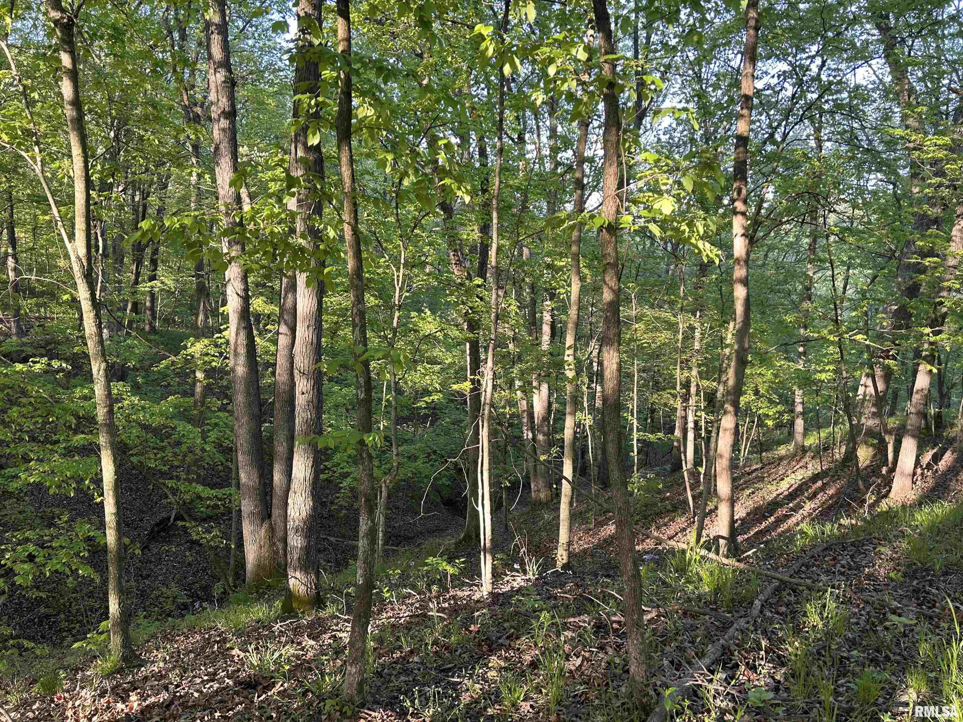 0 North Chambers Road Smithfield, IL 61477 - Photo 18 of 42