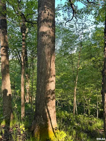 $460,000 | 0 North Chambers Road, Smithfield, IL 61477