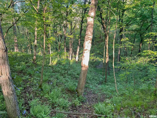 $460,000 | 0 North Chambers Road, Smithfield, IL 61477