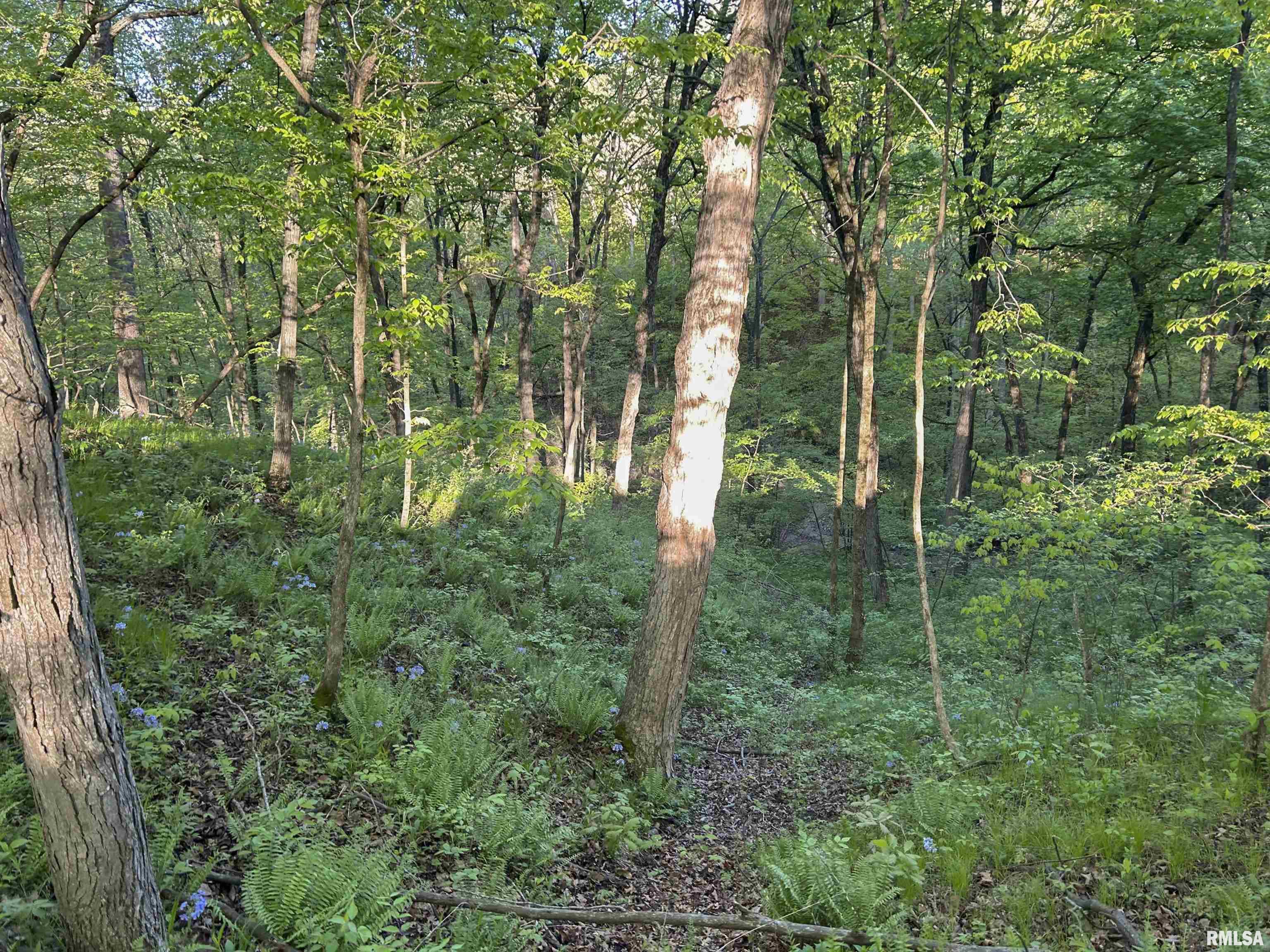 0 North Chambers Road Smithfield, IL 61477 - Photo 20 of 42