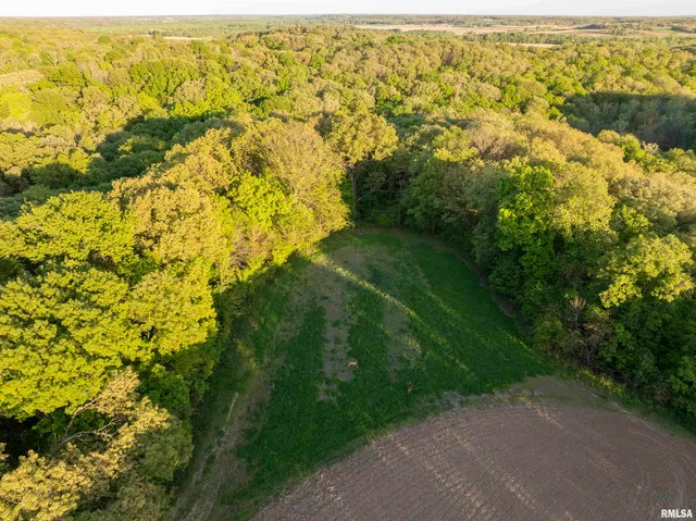 $460,000 | 0 North Chambers Road, Smithfield, IL 61477