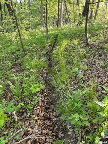 $460,000 | 0 North Chambers Road, Smithfield, IL 61477