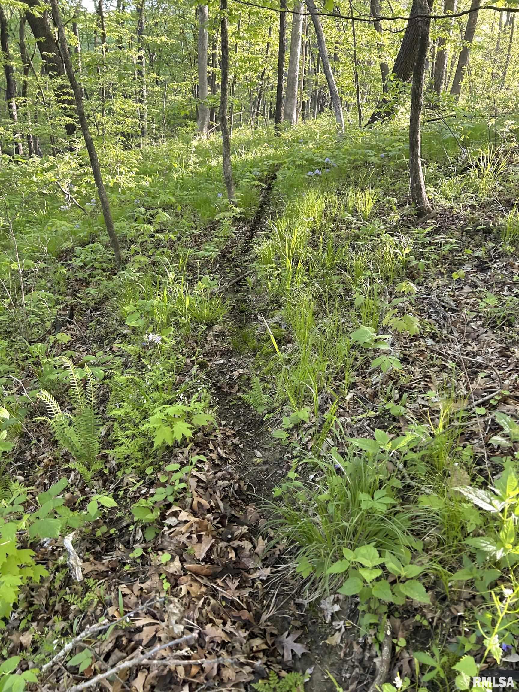 0 North Chambers Road Smithfield, IL 61477 - Photo 21 of 42