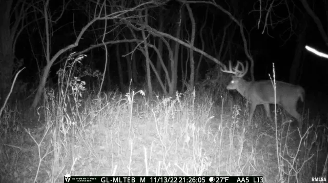 $460,000 | 0 North Chambers Road, Smithfield, IL 61477