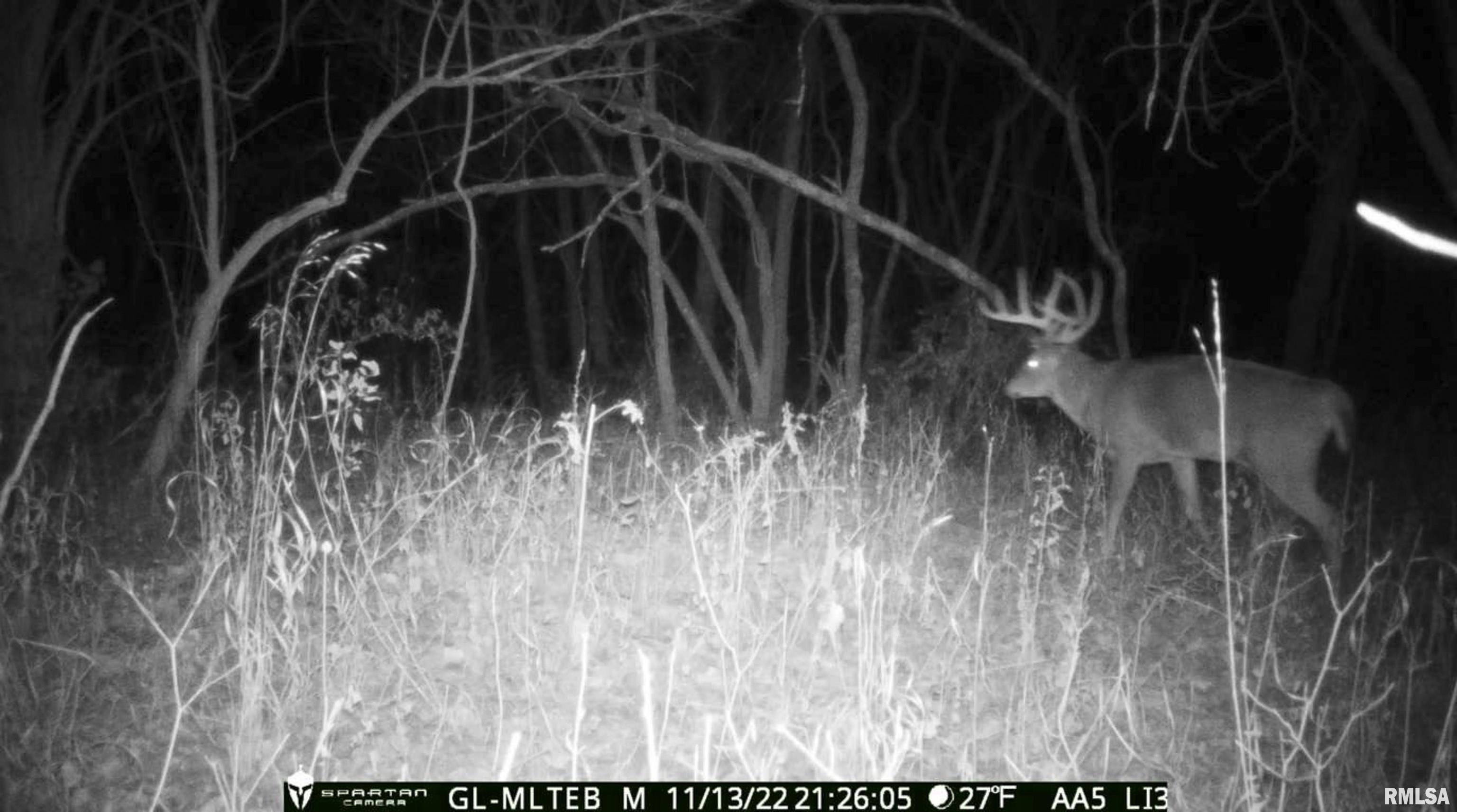 0 North Chambers Road Smithfield, IL 61477 - Photo 22 of 42