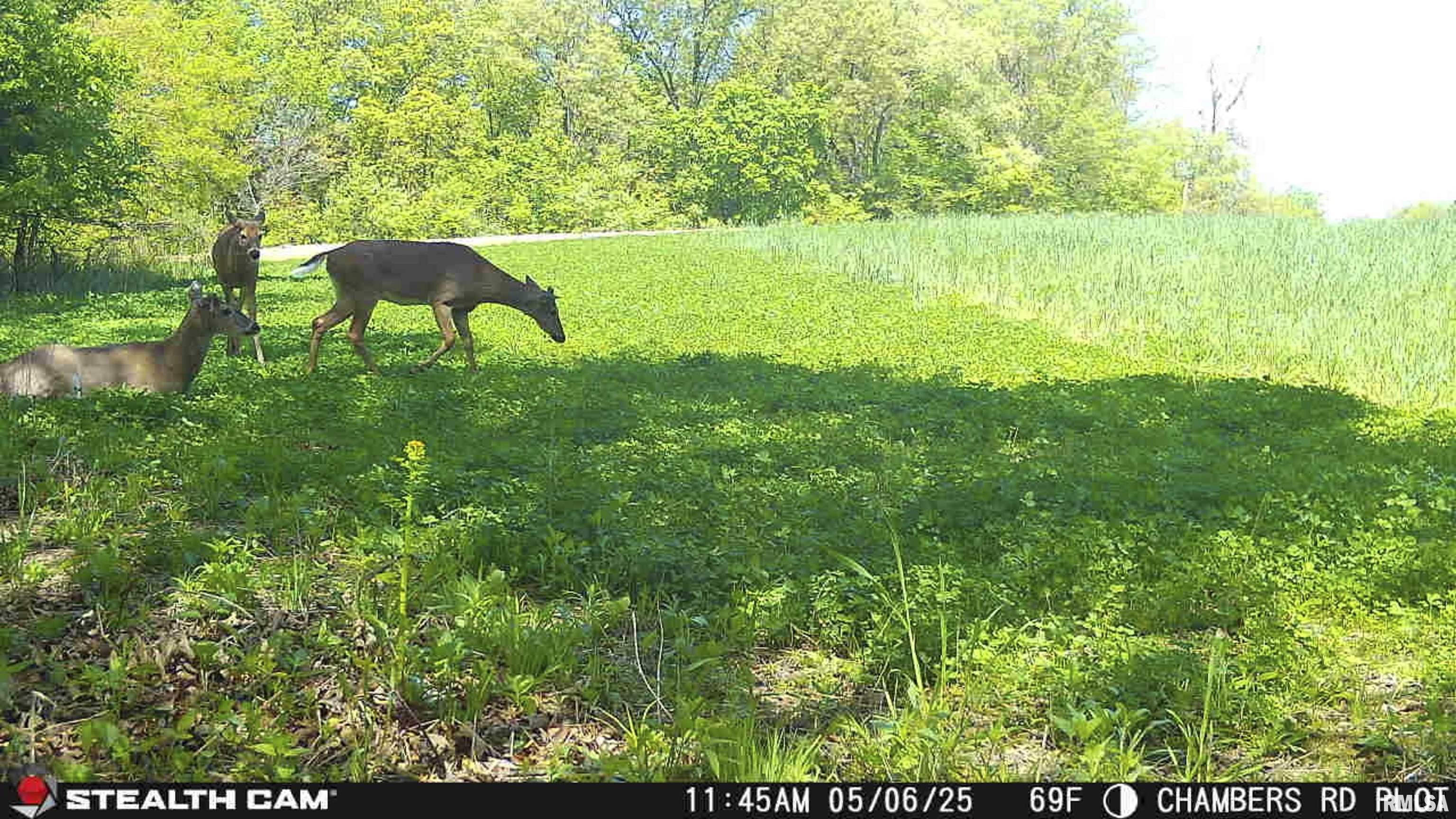 0 North Chambers Road Smithfield, IL 61477 - Photo 23 of 42