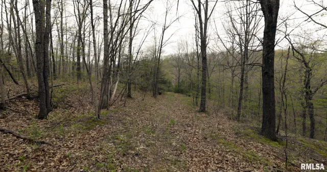 $460,000 | 0 North Chambers Road, Smithfield, IL 61477