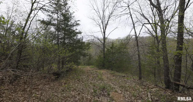 $460,000 | 0 North Chambers Road, Smithfield, IL 61477