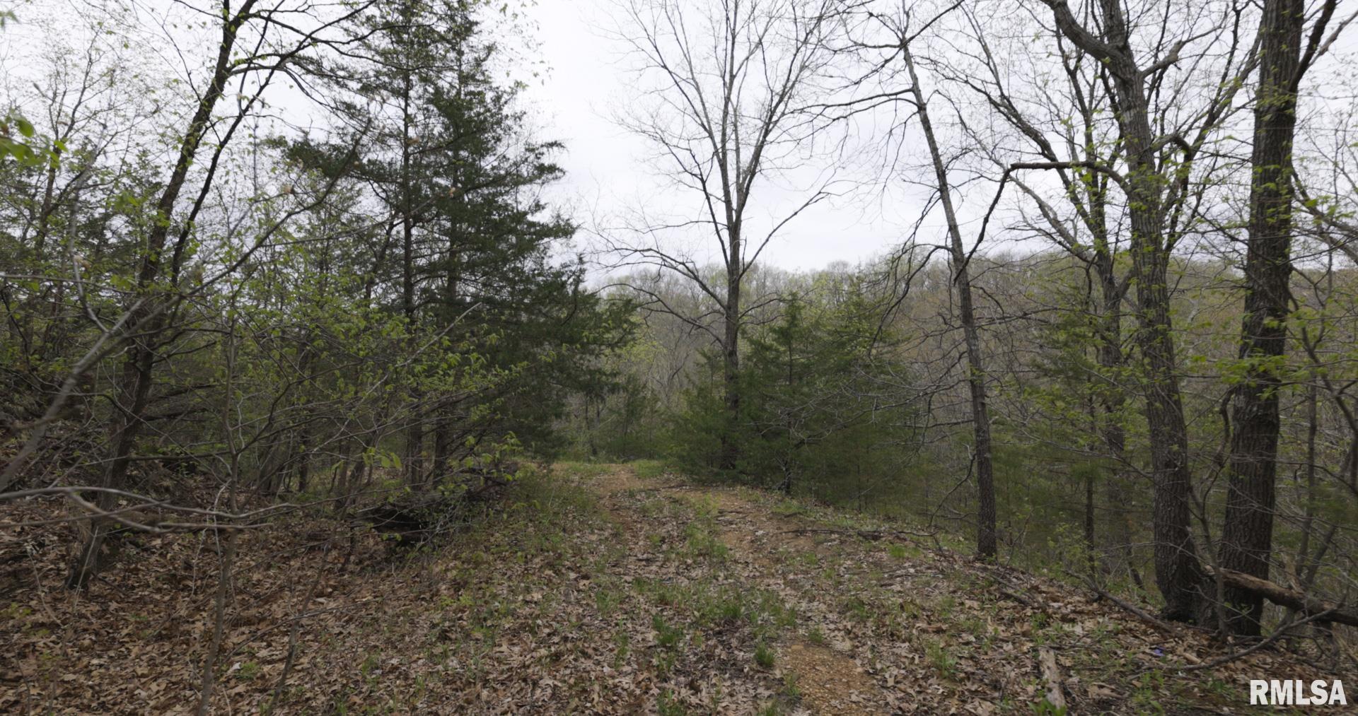 0 North Chambers Road Smithfield, IL 61477 - Photo 25 of 42