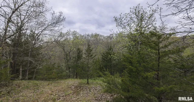 $460,000 | 0 North Chambers Road, Smithfield, IL 61477