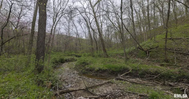 $460,000 | 0 North Chambers Road, Smithfield, IL 61477