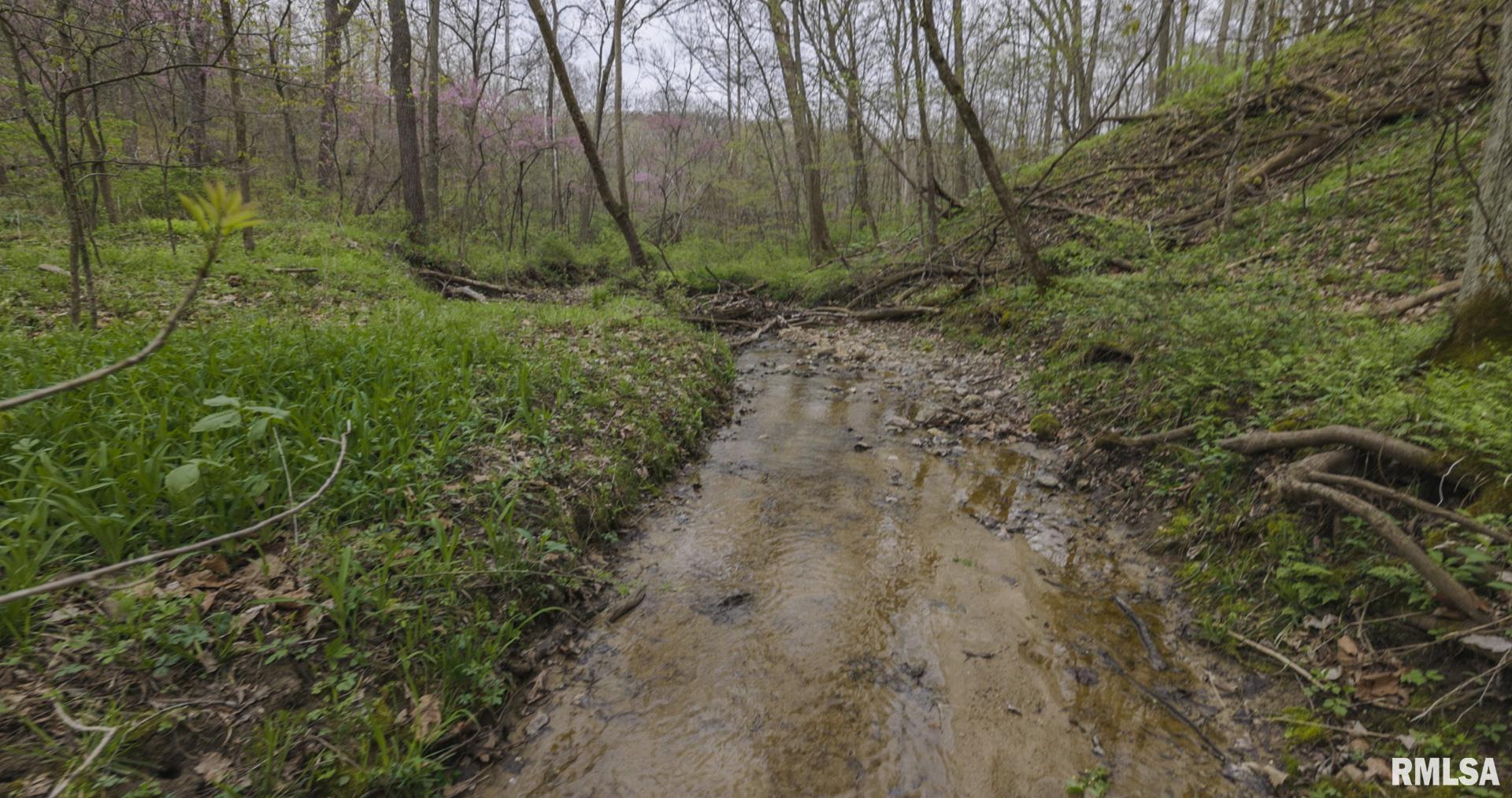 0 North Chambers Road Smithfield, IL 61477 - Photo 29 of 42