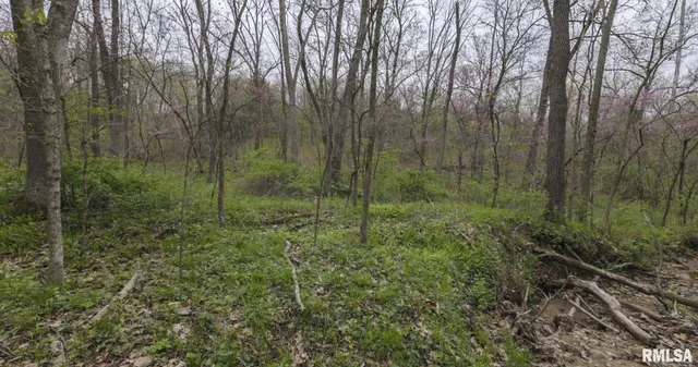 $460,000 | 0 North Chambers Road, Smithfield, IL 61477