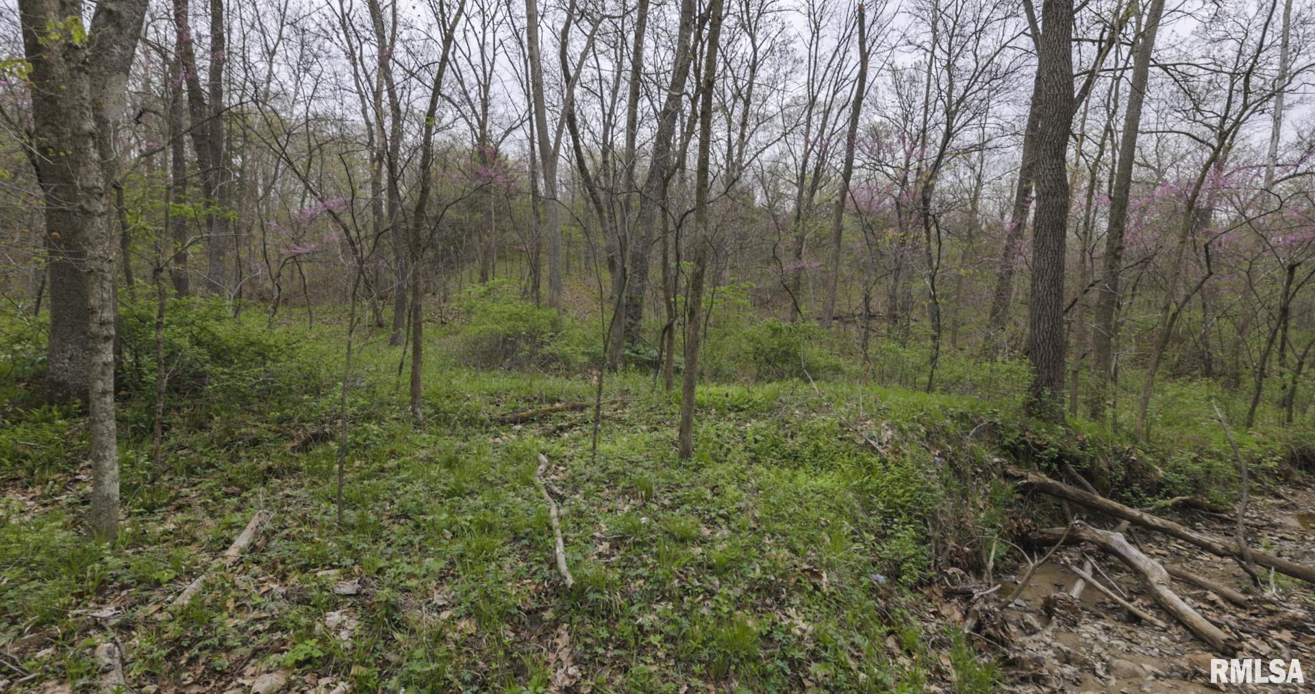 0 North Chambers Road Smithfield, IL 61477 - Photo 30 of 42