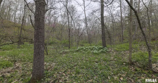 $460,000 | 0 North Chambers Road, Smithfield, IL 61477