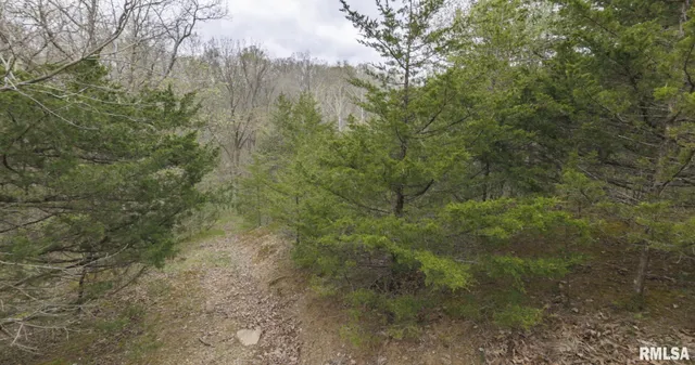 $460,000 | 0 North Chambers Road, Smithfield, IL 61477