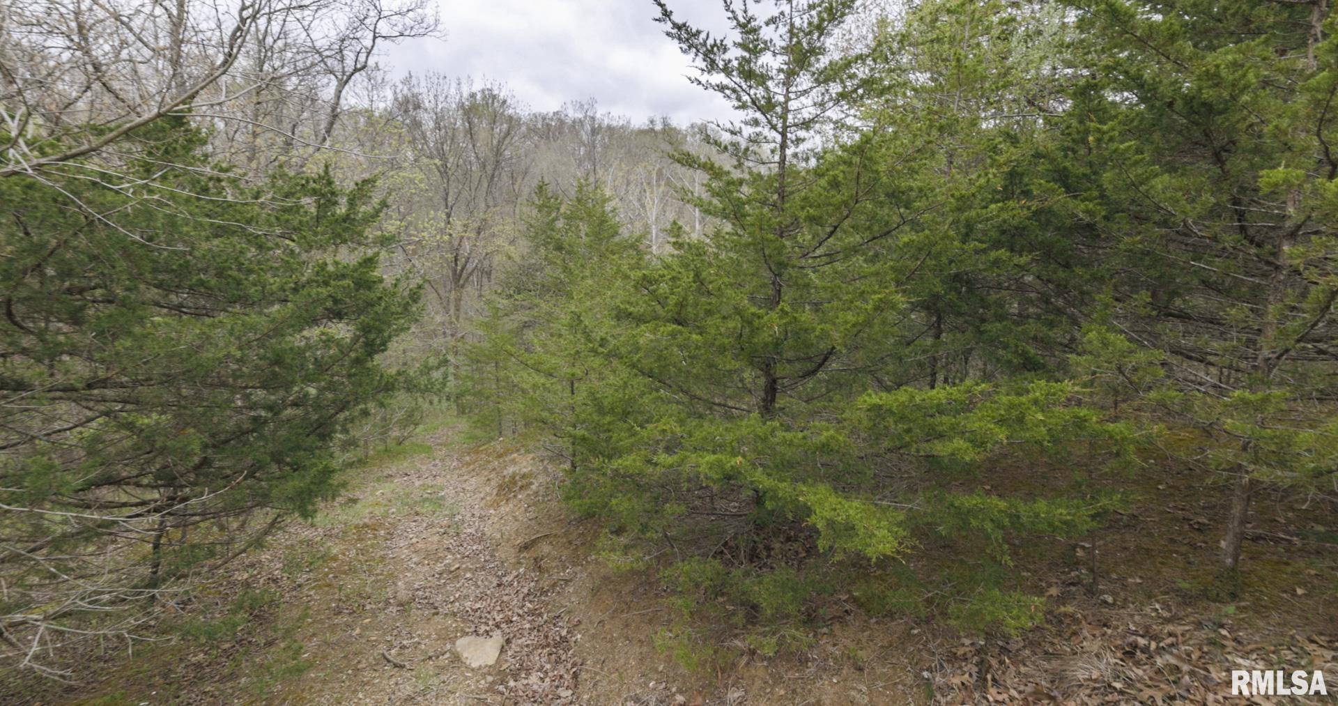 0 North Chambers Road Smithfield, IL 61477 - Photo 32 of 42