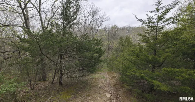 $460,000 | 0 North Chambers Road, Smithfield, IL 61477