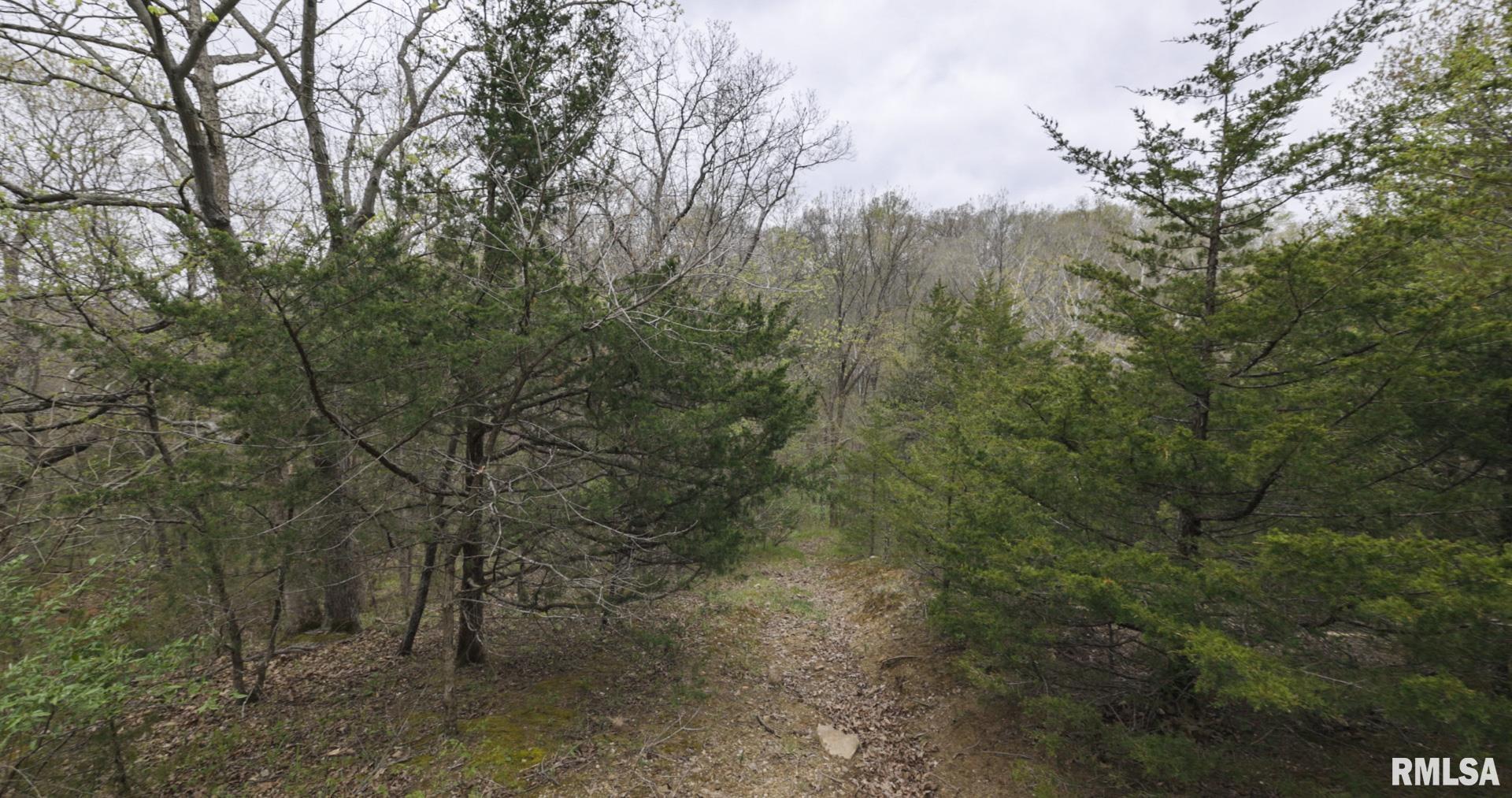 0 North Chambers Road Smithfield, IL 61477 - Photo 33 of 42