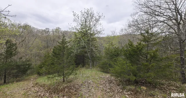 $460,000 | 0 North Chambers Road, Smithfield, IL 61477