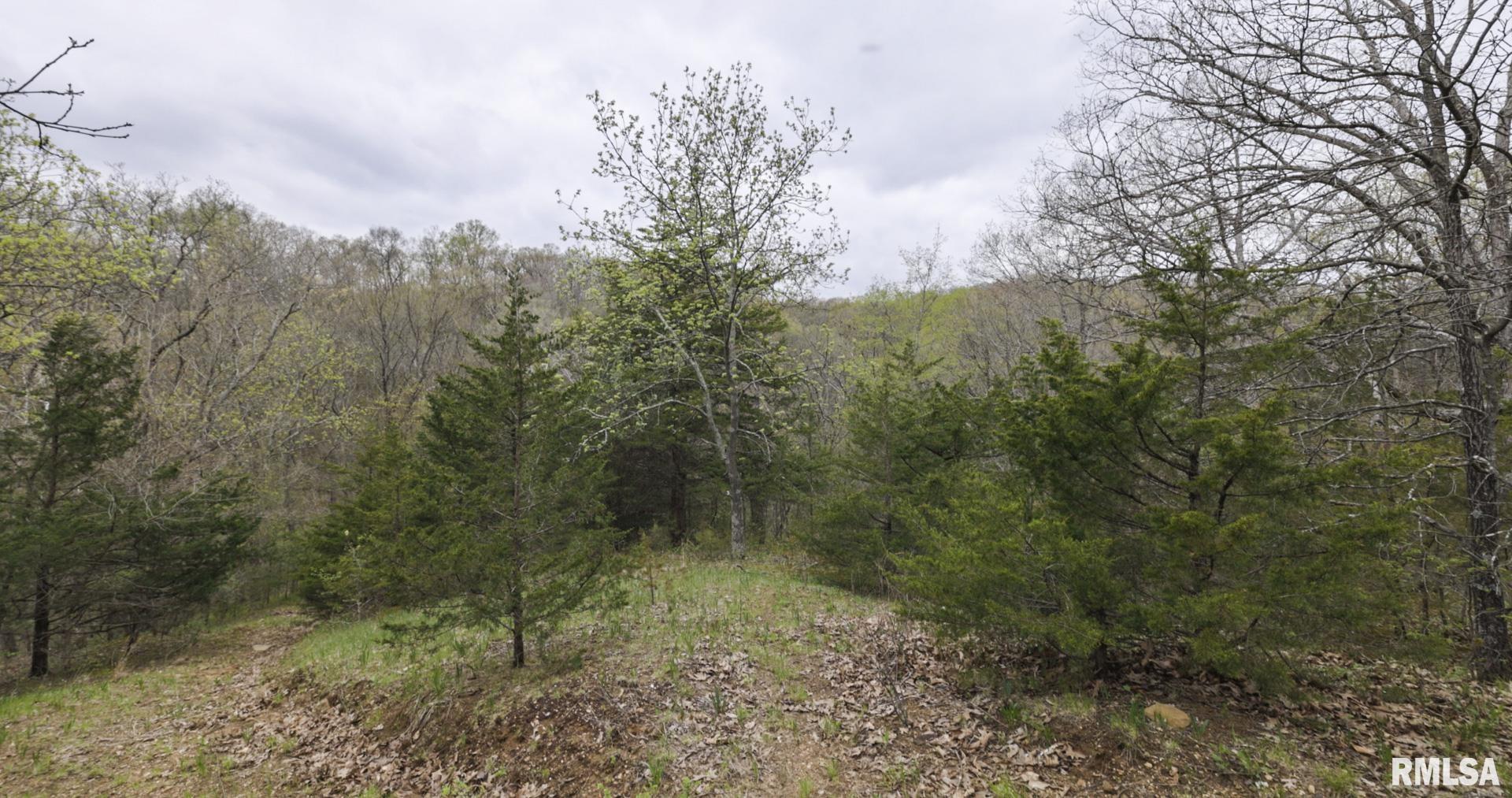 0 North Chambers Road Smithfield, IL 61477 - Photo 34 of 42