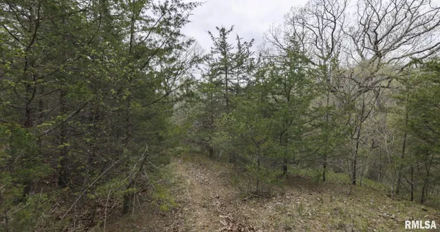 $460,000 | 0 North Chambers Road, Smithfield, IL 61477