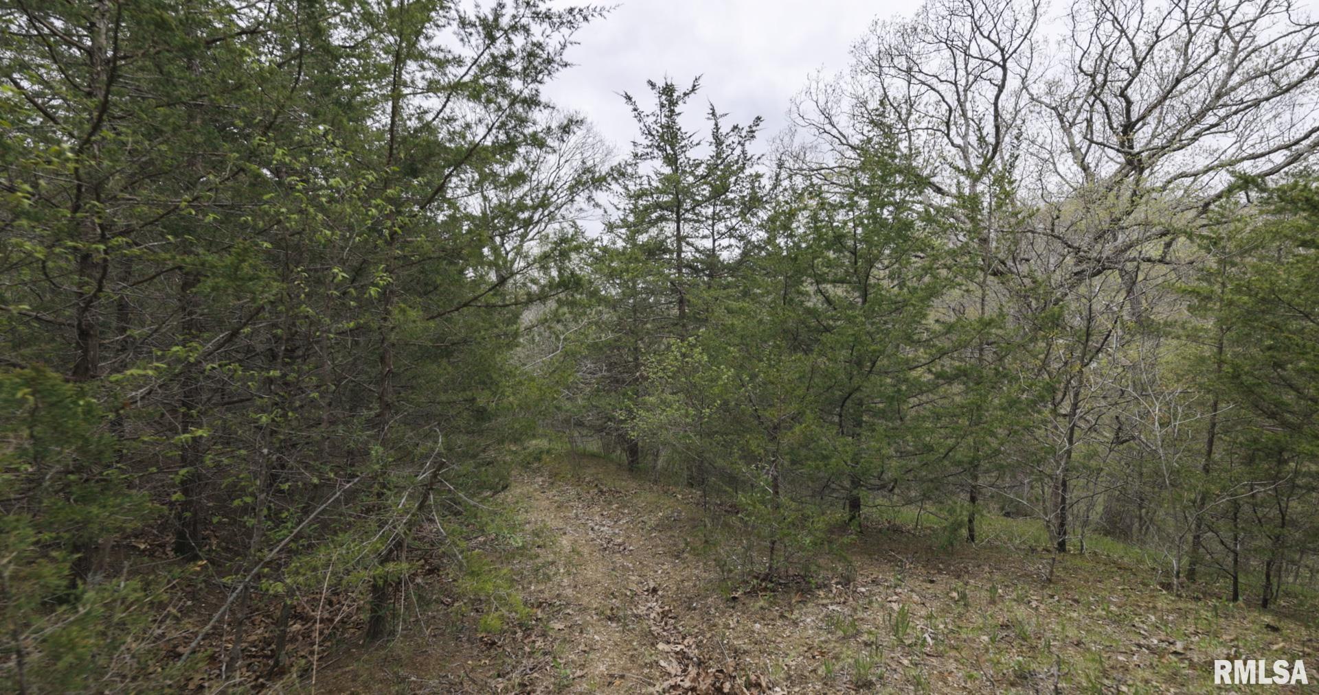 0 North Chambers Road Smithfield, IL 61477 - Photo 35 of 42