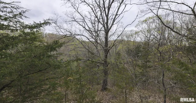 $460,000 | 0 North Chambers Road, Smithfield, IL 61477