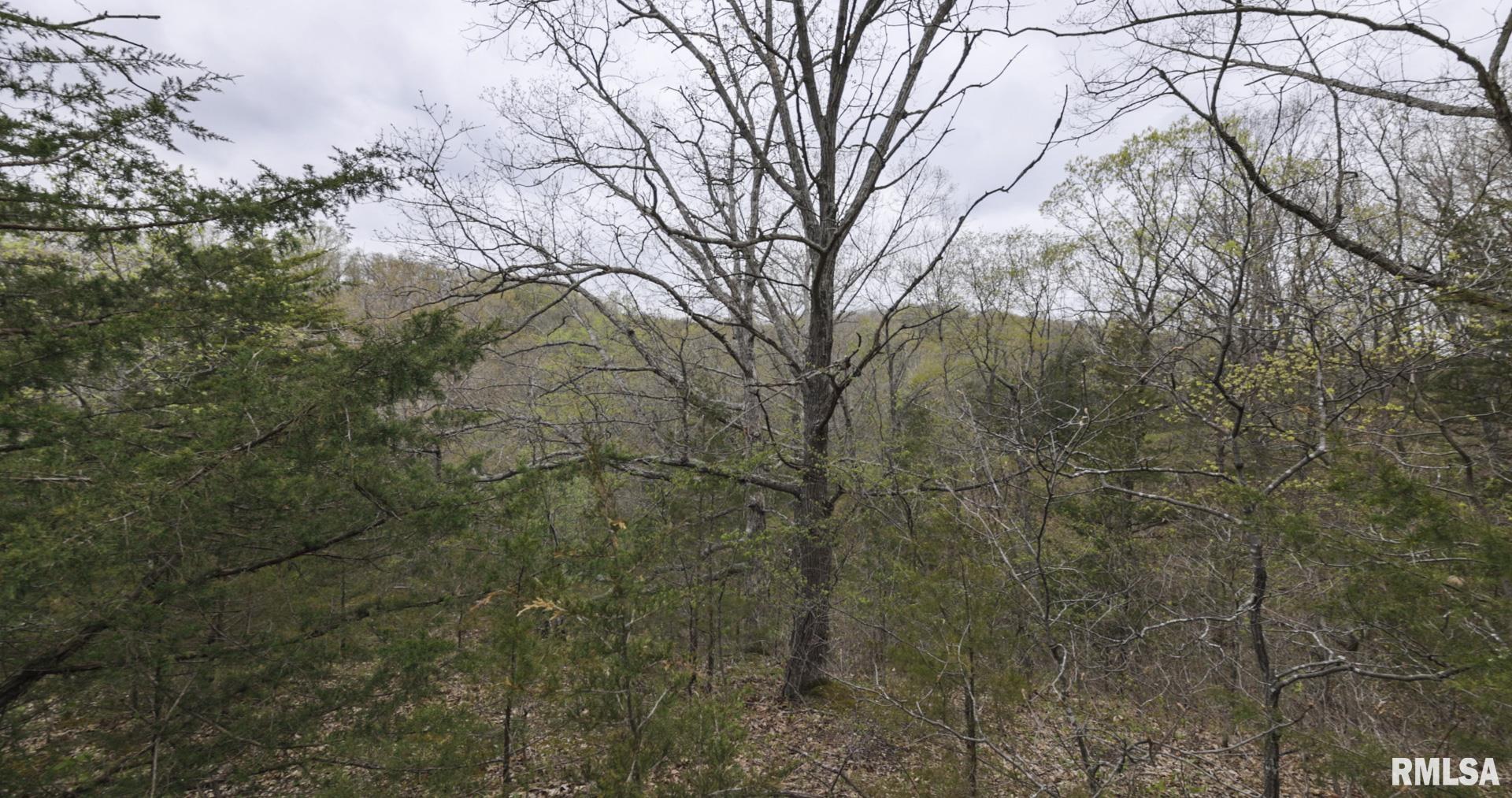 0 North Chambers Road Smithfield, IL 61477 - Photo 36 of 42