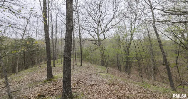 $460,000 | 0 North Chambers Road, Smithfield, IL 61477