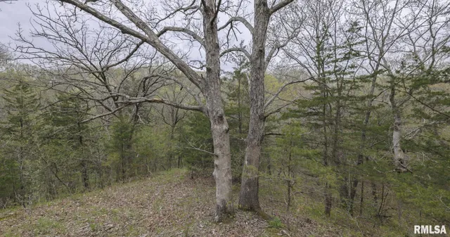 $460,000 | 0 North Chambers Road, Smithfield, IL 61477