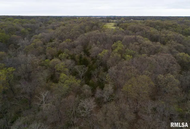 $460,000 | 0 North Chambers Road, Smithfield, IL 61477