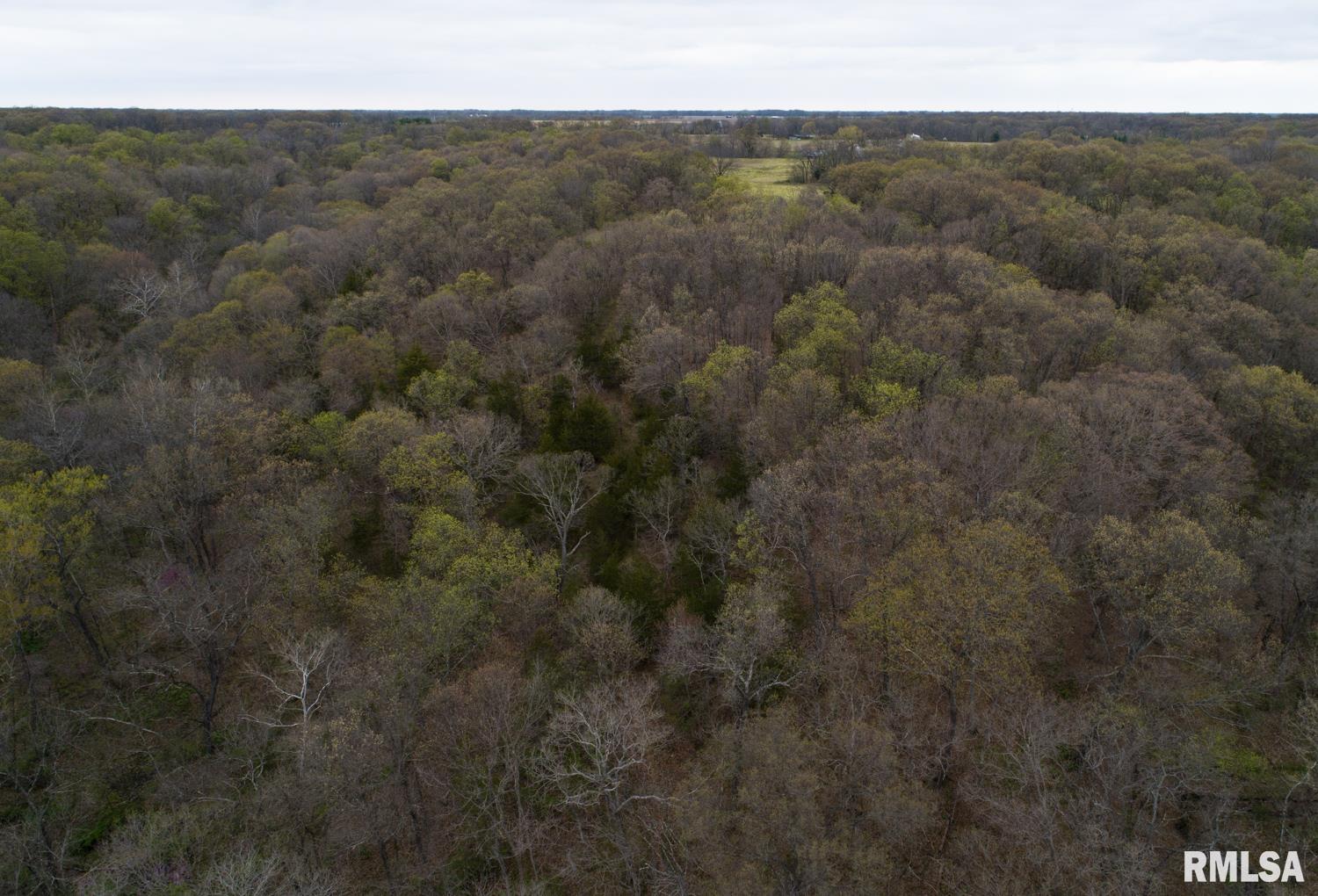 0 North Chambers Road Smithfield, IL 61477 - Photo 39 of 42