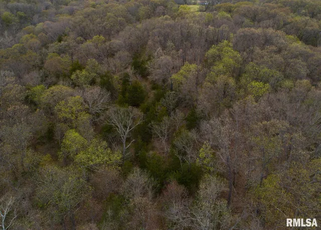 $460,000 | 0 North Chambers Road, Smithfield, IL 61477