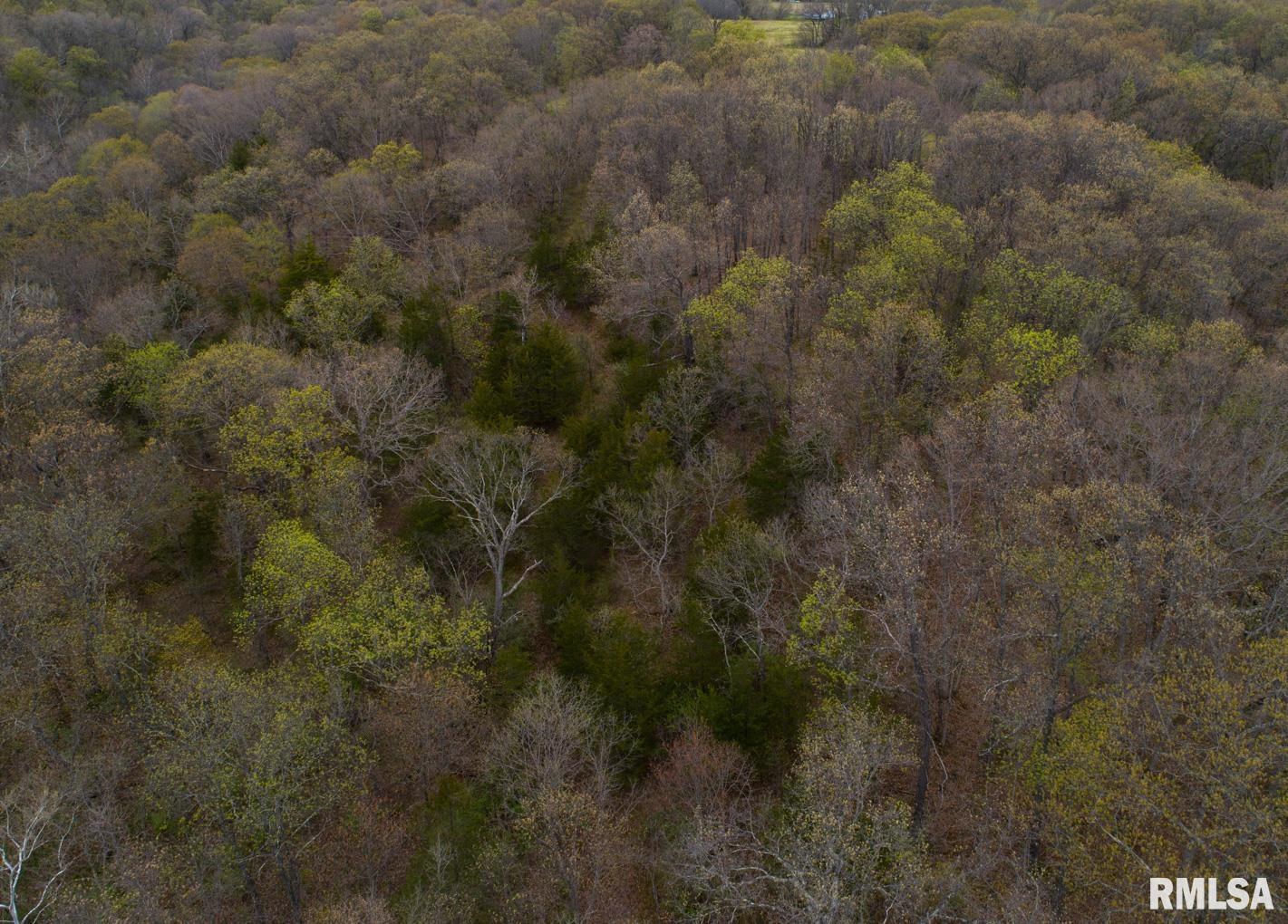 0 North Chambers Road Smithfield, IL 61477 - Photo 40 of 42