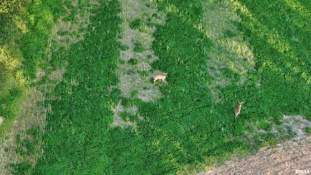 $460,000 | 0 North Chambers Road, Smithfield, IL 61477