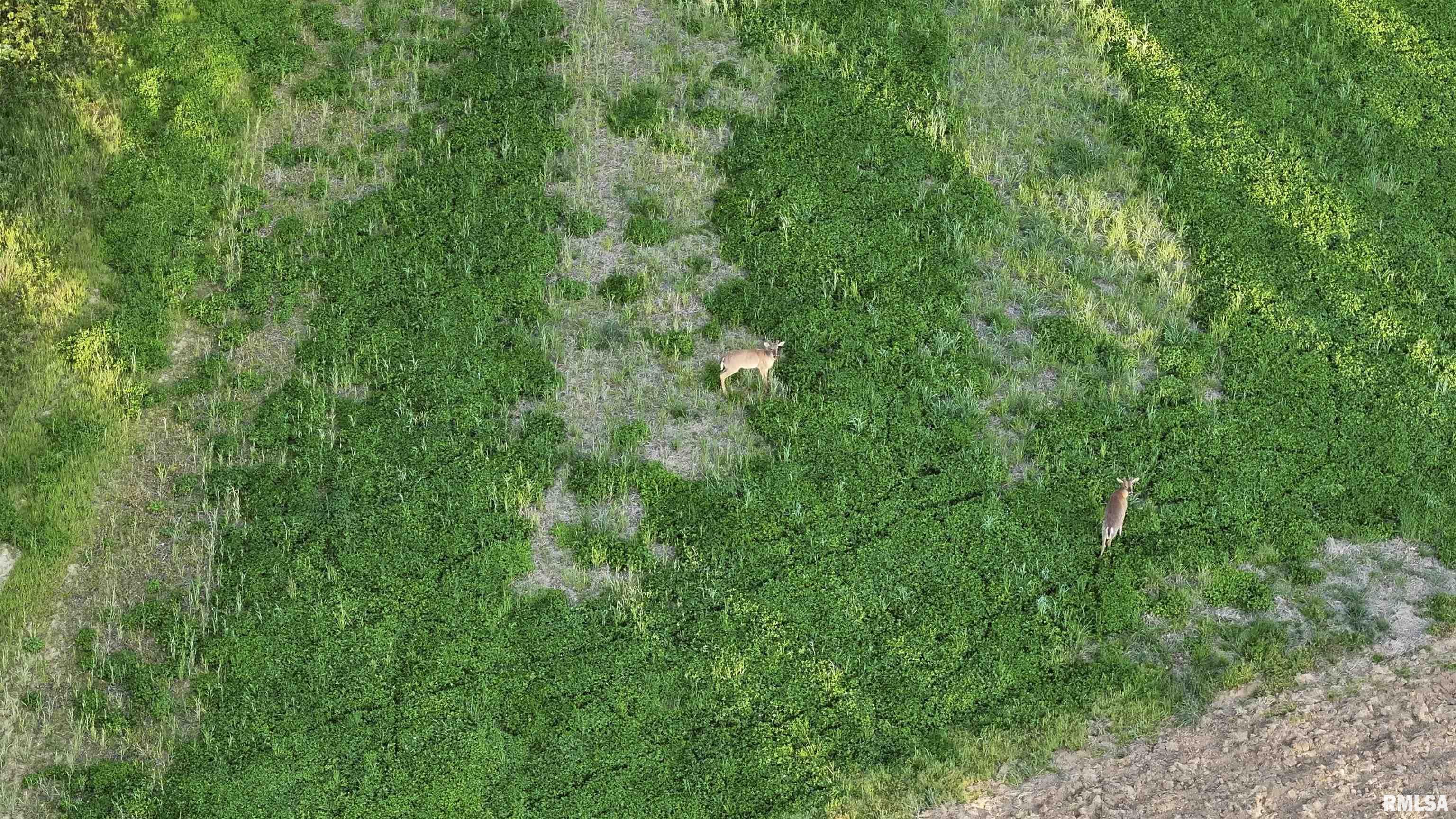 0 North Chambers Road Smithfield, IL 61477 - Photo 4 of 42