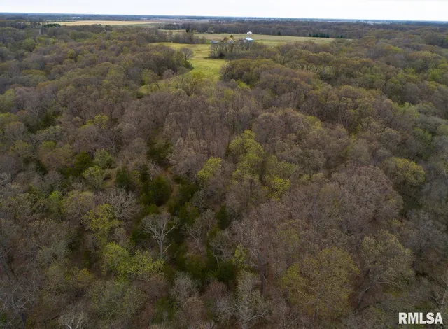 $460,000 | 0 North Chambers Road, Smithfield, IL 61477