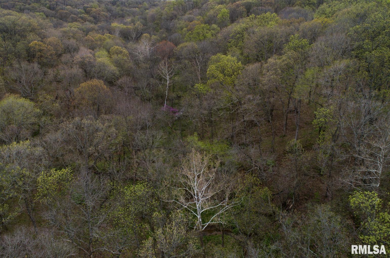 0 North Chambers Road Smithfield, IL 61477 - Photo 42 of 42