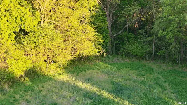 $460,000 | 0 North Chambers Road, Smithfield, IL 61477