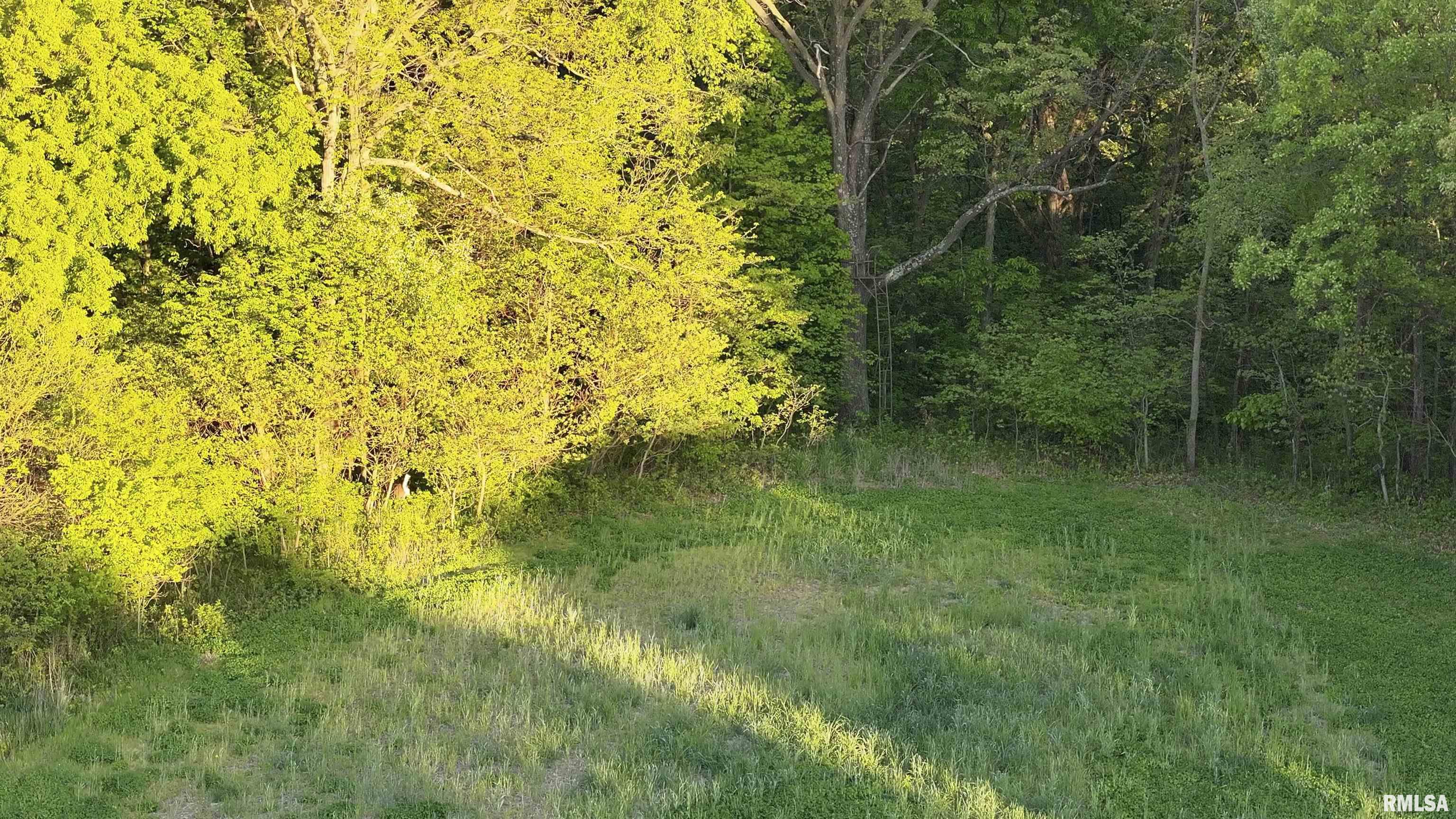 0 North Chambers Road Smithfield, IL 61477 - Photo 5 of 42