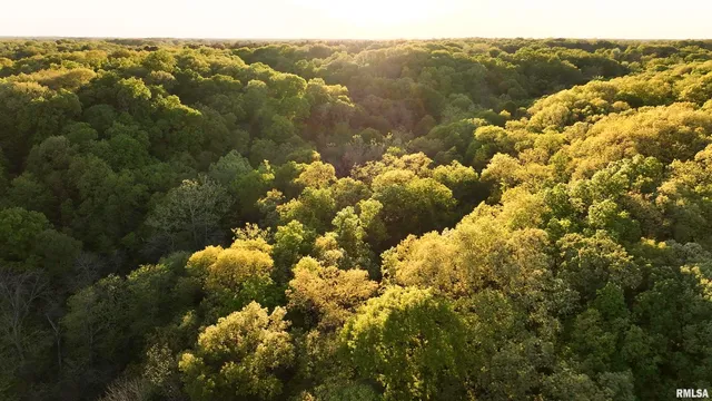 $460,000 | 0 North Chambers Road, Smithfield, IL 61477