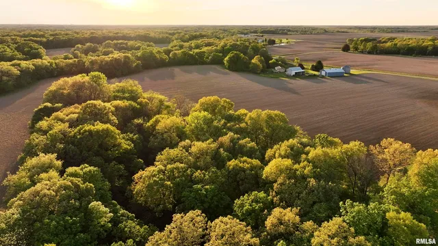 $460,000 | 0 North Chambers Road, Smithfield, IL 61477