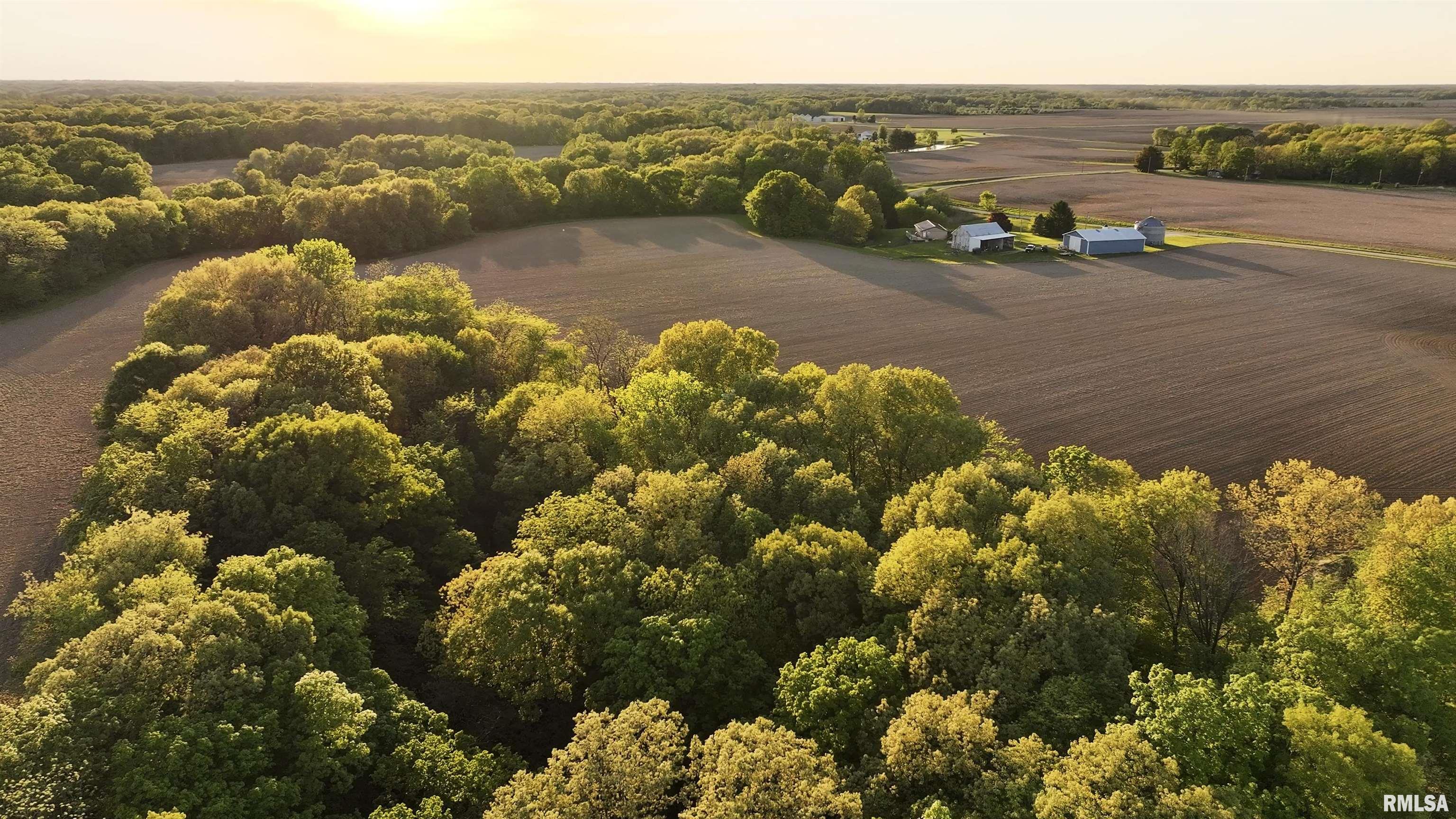 0 North Chambers Road Smithfield, IL 61477 - Photo 10 of 42