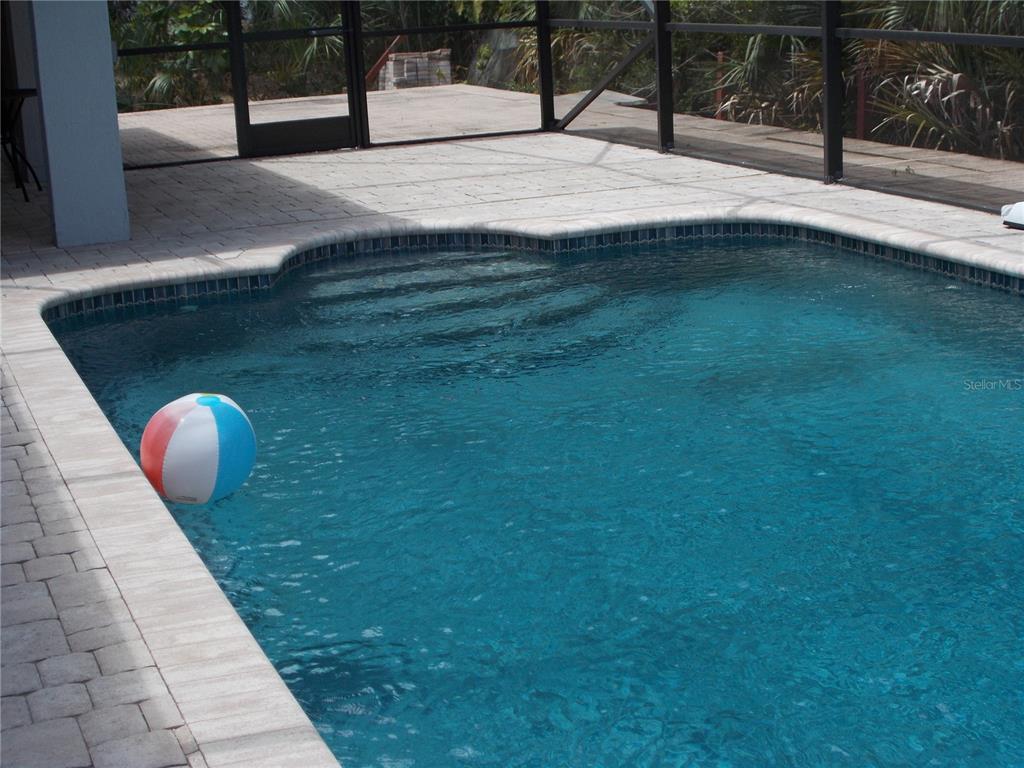 2880 Geneva Road Venice, FL 34293 - Photo 18 of 19 a swimming pool with a yard