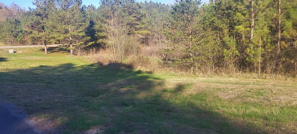 140 Casson Road Ocoee, TN 37361 - Photo 1 of 3 Gallery Image 1