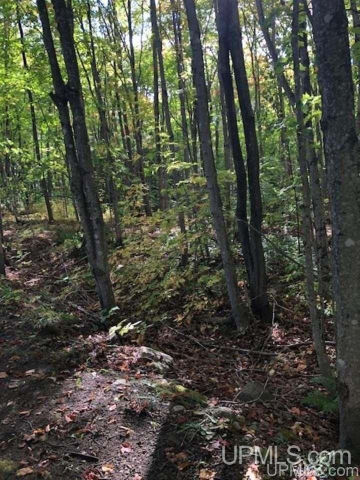 Tbd Koski Road Munising, MI 49862 - Photo 4 of 17