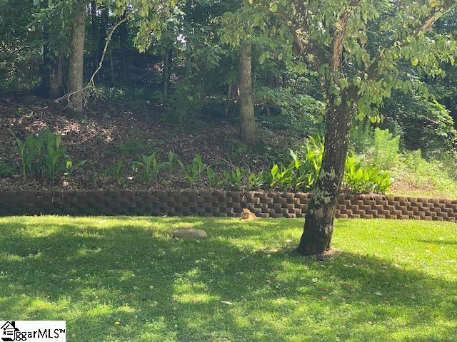 950 Mt Tabor Church Road Pickens, SC 29671 - Photo 22 of 26